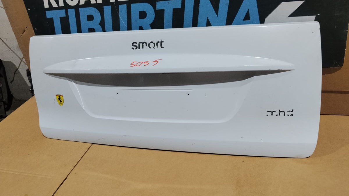 5055 Baule Cofano posteriore Portellone pannello posteriore bauletto smart 451 2