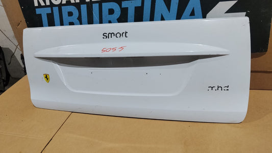 5055 Baule Cofano posteriore Portellone pannello posteriore bauletto smart 451 2