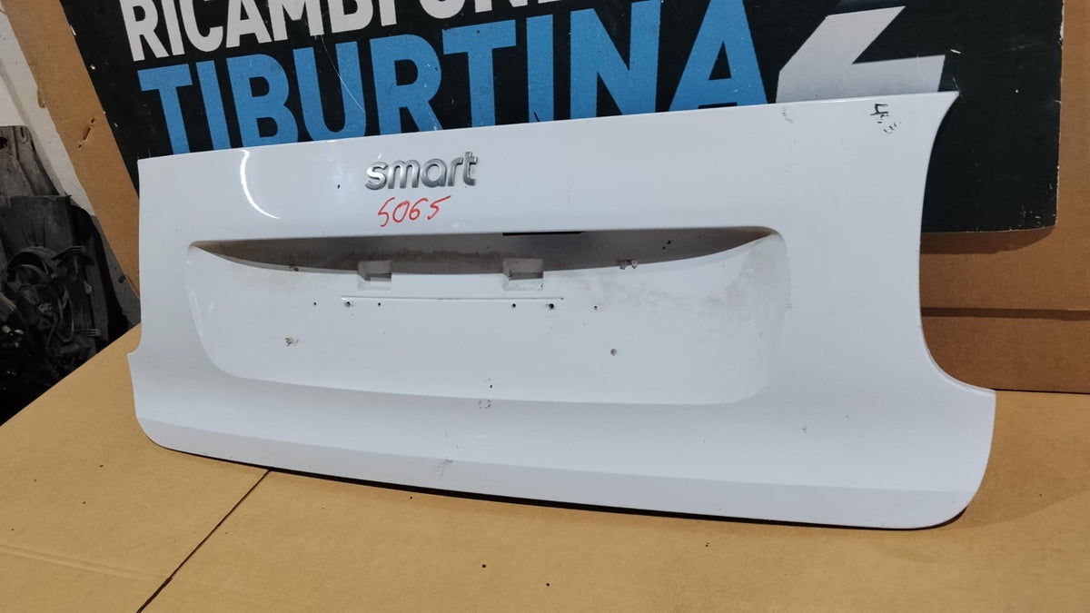 5065 Baule Cofano posteriore Portellone pannello bauletto smart 453 x2 fortwo