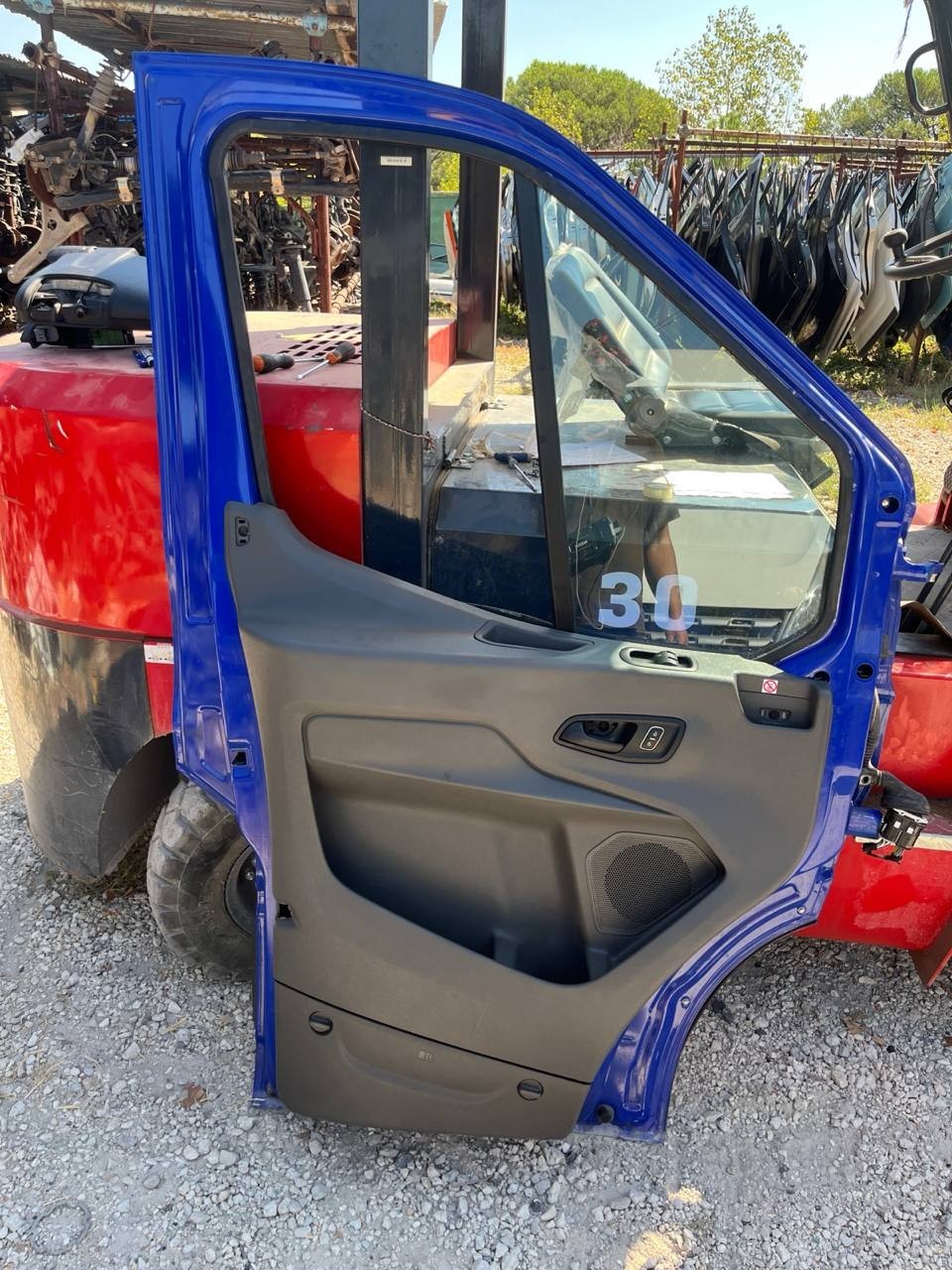 Porta anteriore sinistra Ford transit dal 2016 in poi