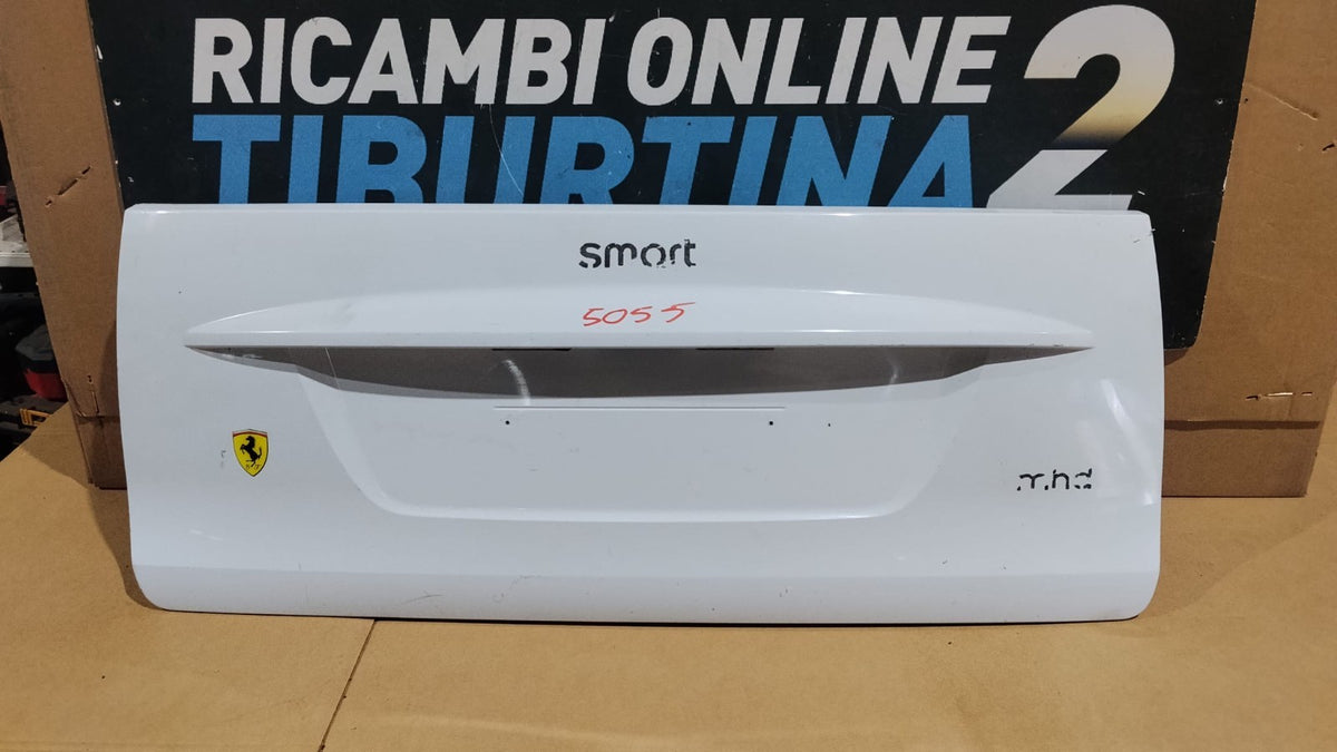 5055 Baule Cofano posteriore Portellone pannello posteriore bauletto smart 451 2