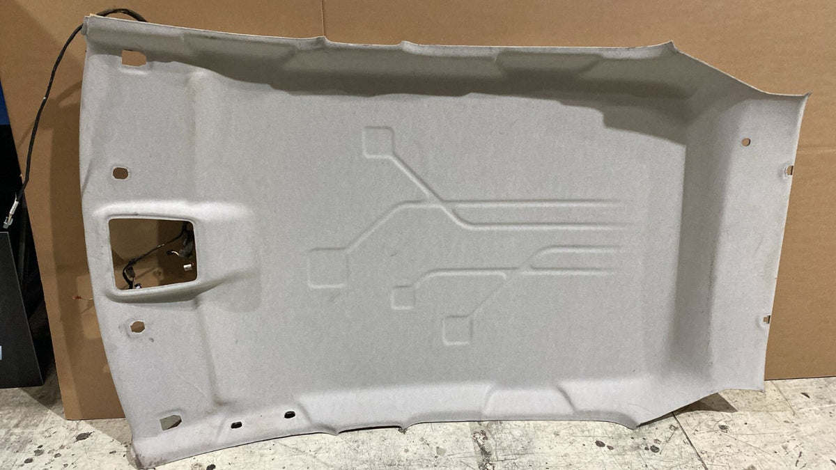 Sottotetto  Cielo Renault Zoe  Anno 2017