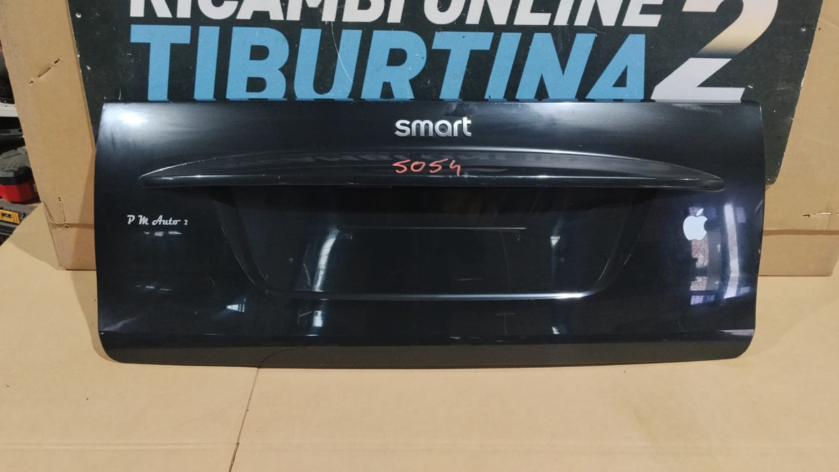 5054 Baule Cofano posteriore Portellone pannello posteriore bauletto smart 451