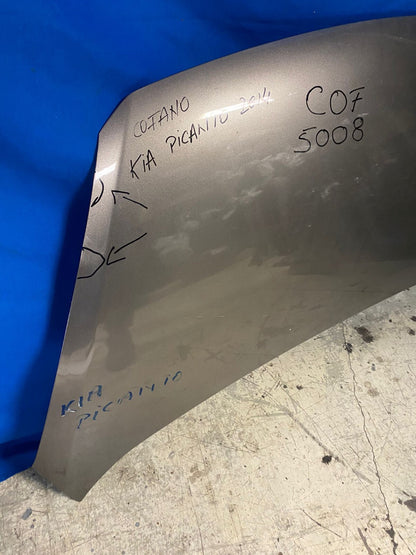 Cofano Anteriore Kia picanto con difetti 2014
