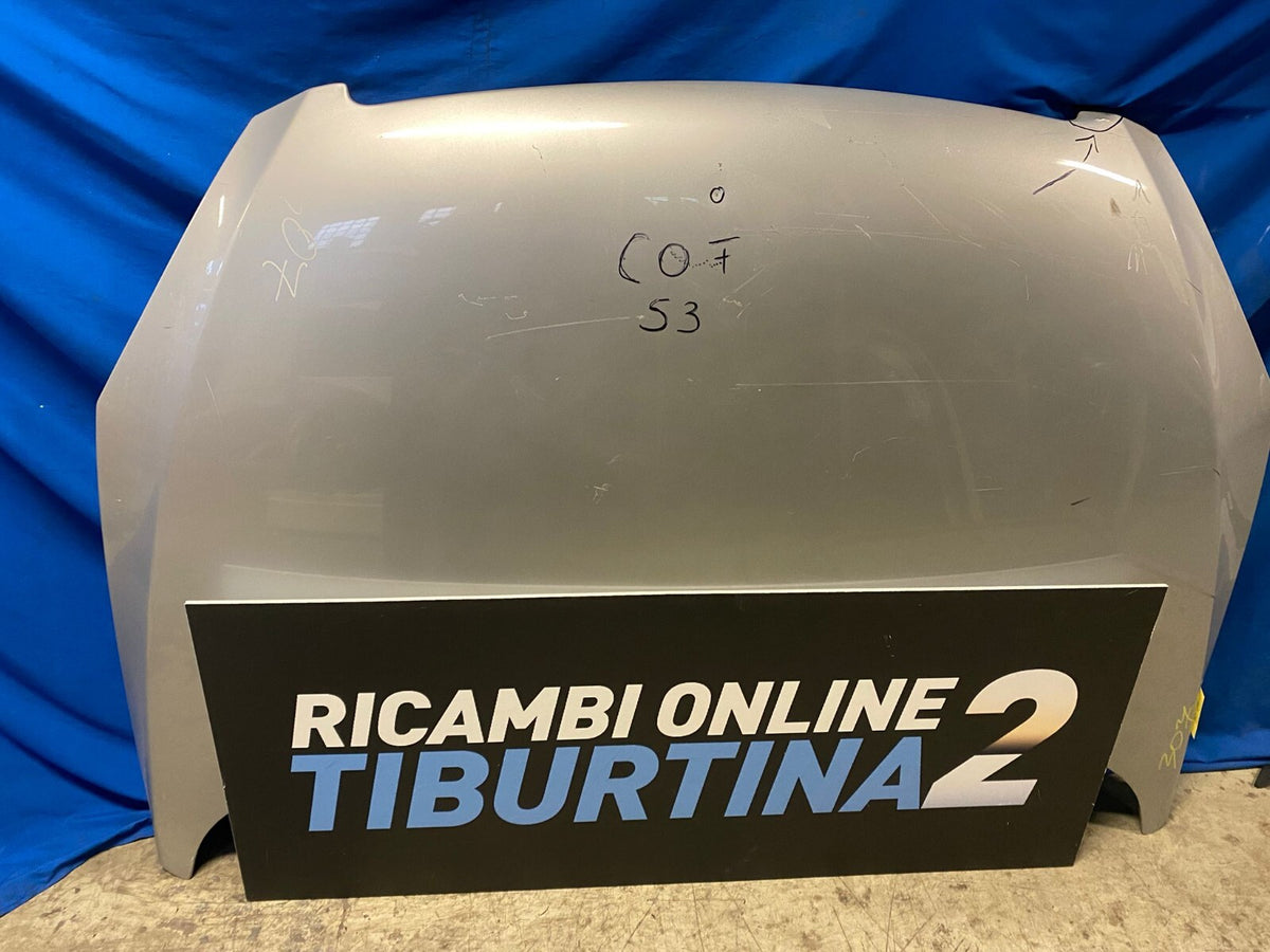 Cofano Anteriore Peugeot 307