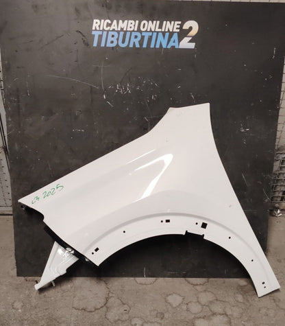 Par10 parafango anteriore sinistro Citroen c3 2025