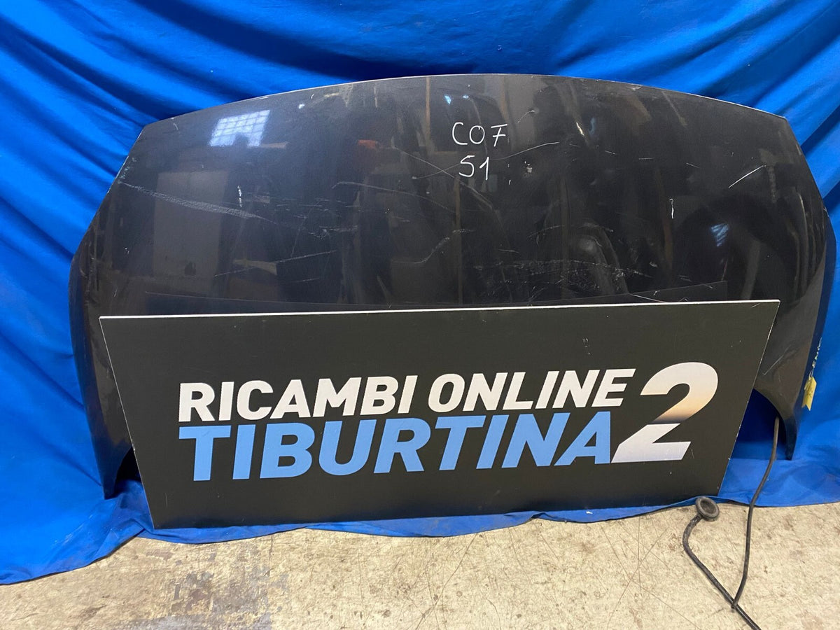 Cofano Anteriore Renault Scenic Anno 2004
